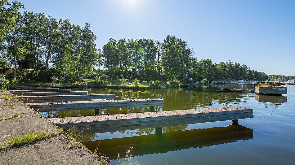 Готовый дом в Новоалександрово