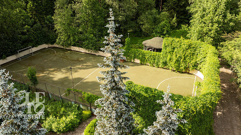 Усадьба окруженная лесом Горки-5