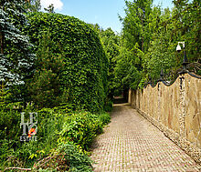 Усадьба окруженная лесом Горки-5