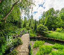 Усадьба окруженная лесом Горки-5