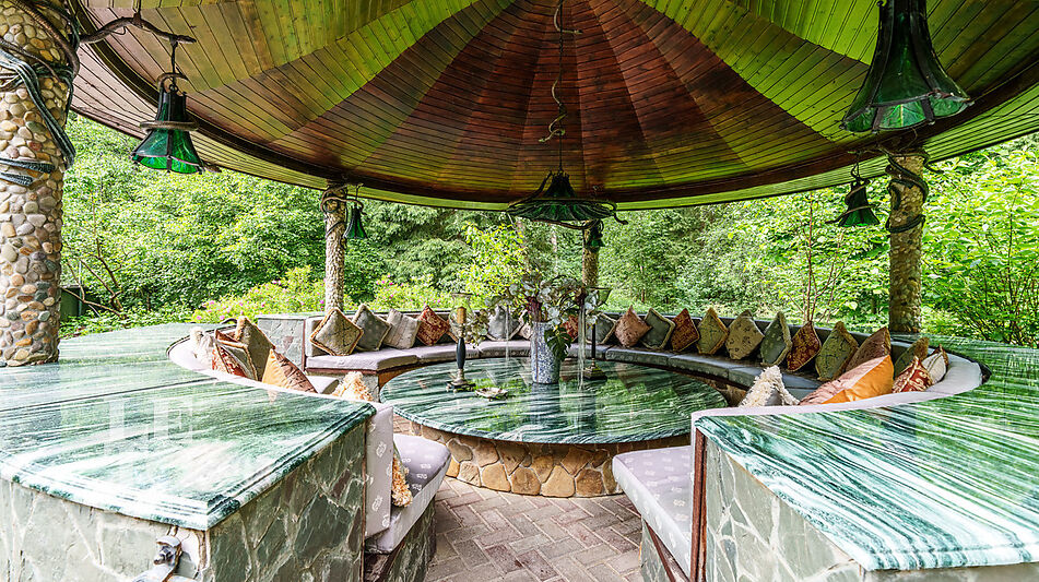 Усадьба окруженная лесом Горки-5