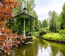 Усадьба окруженная лесом Горки-5