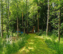 Усадьба окруженная лесом Горки-5