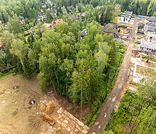 Лесной участок в Новогорске