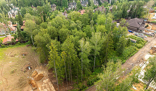 Лесной участок в Новогорске