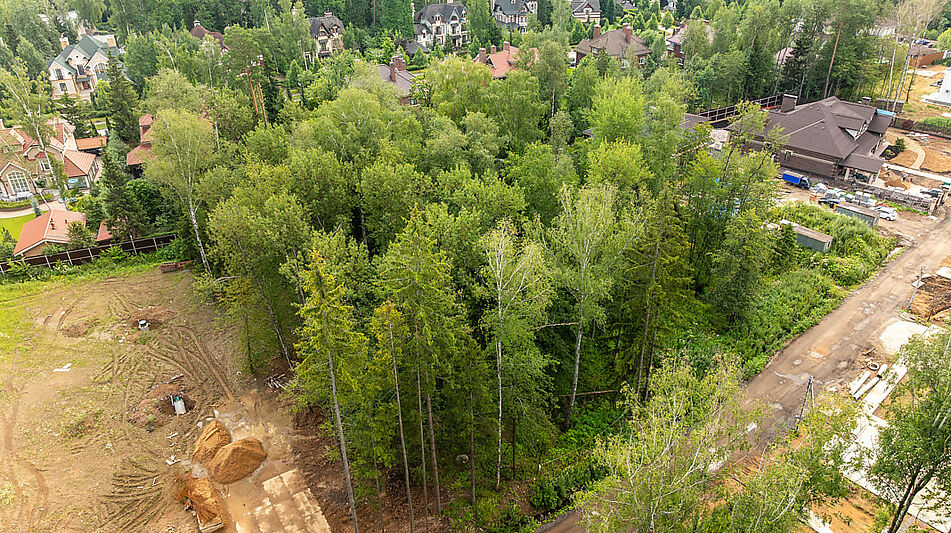 Лесной участок в Новогорске