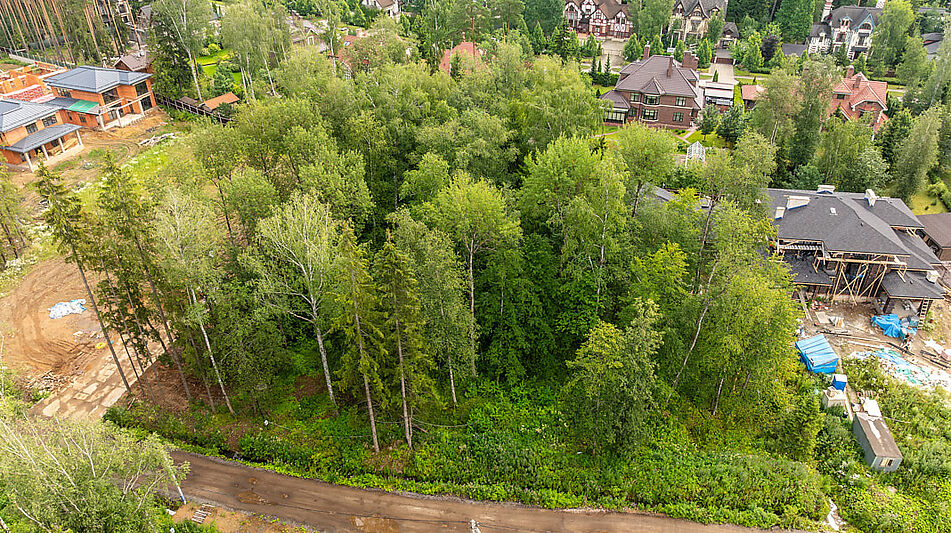 Лесной участок в Новогорске