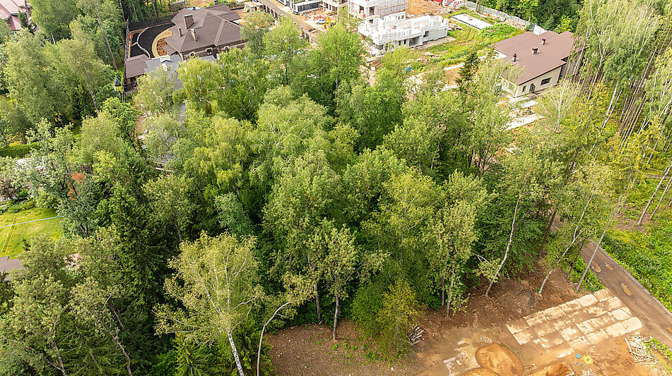 Лесной участок в Новогорске