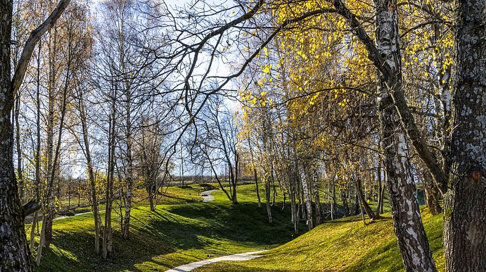 Участок в КП Кристалл Истра