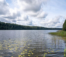Резиденция на Валдае у озера Ужин