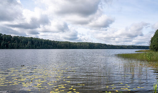 Резиденция на Валдае у озера Ужин