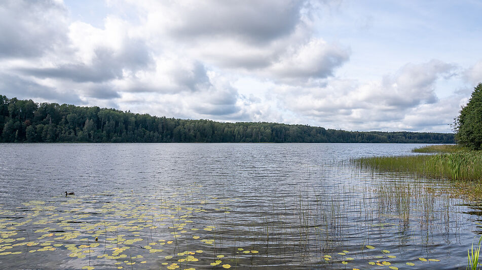 Резиденция на Валдае у озера Ужин