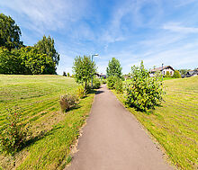 Пестовская гавань