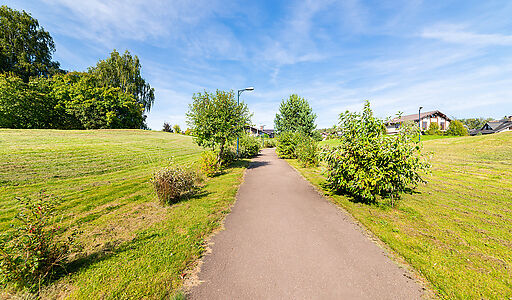 Пестовская гавань
