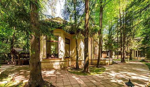 Продается усадьба в поселке Юлия2