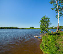 Земельный участок в КП Аврора
