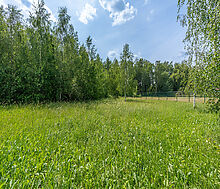 Прилесной участок в гольф Пестово