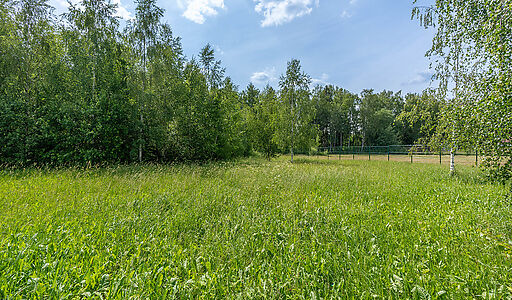 Прилесной участок в гольф Пестово