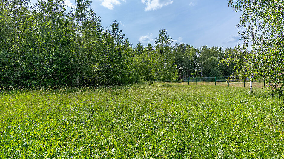 Прилесной участок в гольф Пестово