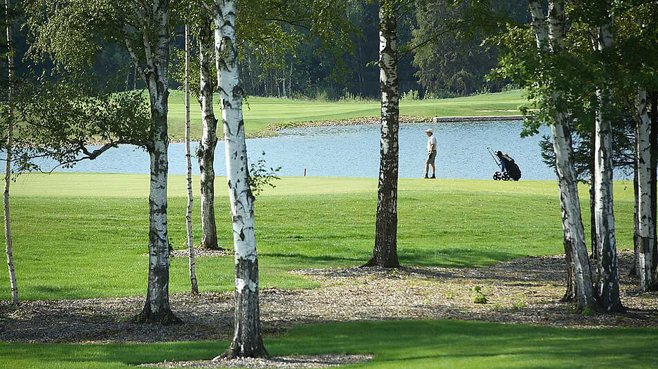 Прилесной участок в гольф Пестово