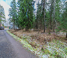 Рождественский лес