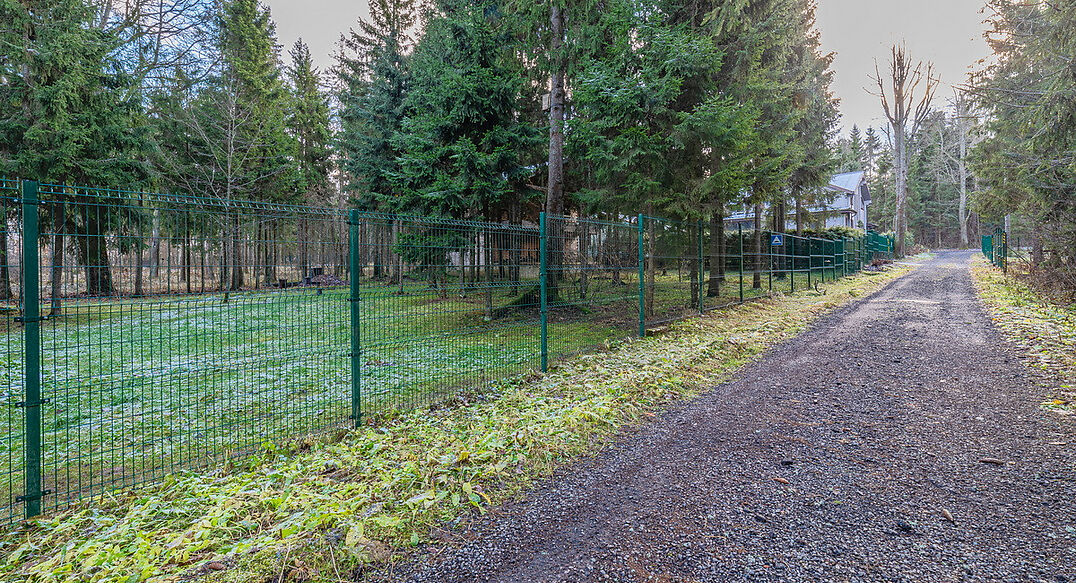 Рождественский лес