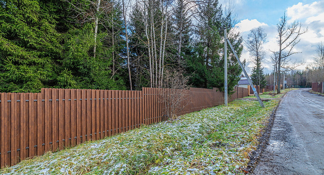 Рождественский лес