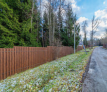 Рождественский лес