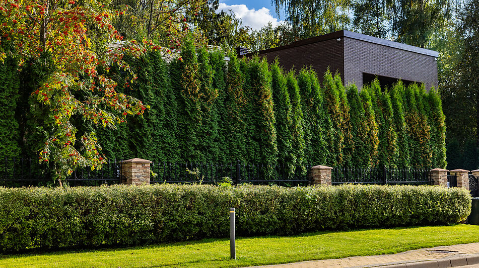 Дом в КП Монтевиль