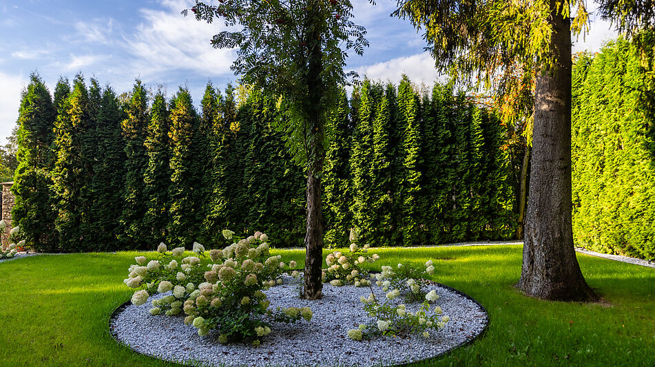 Дом в КП Монтевиль