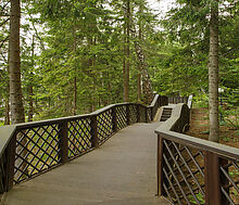 Новое время