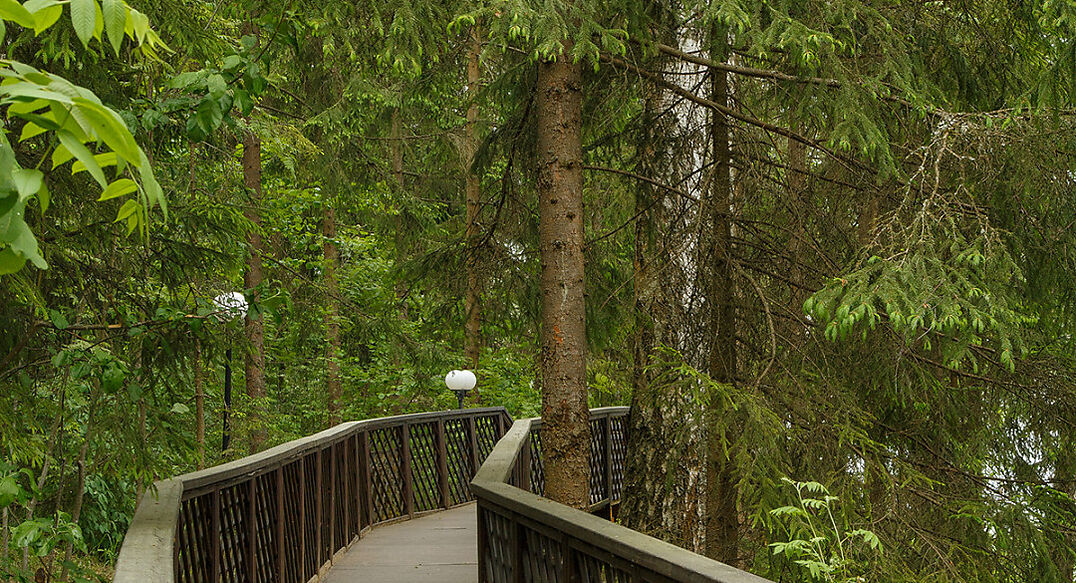 Новое время