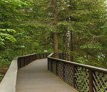 Новое время