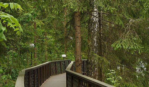 Новое время