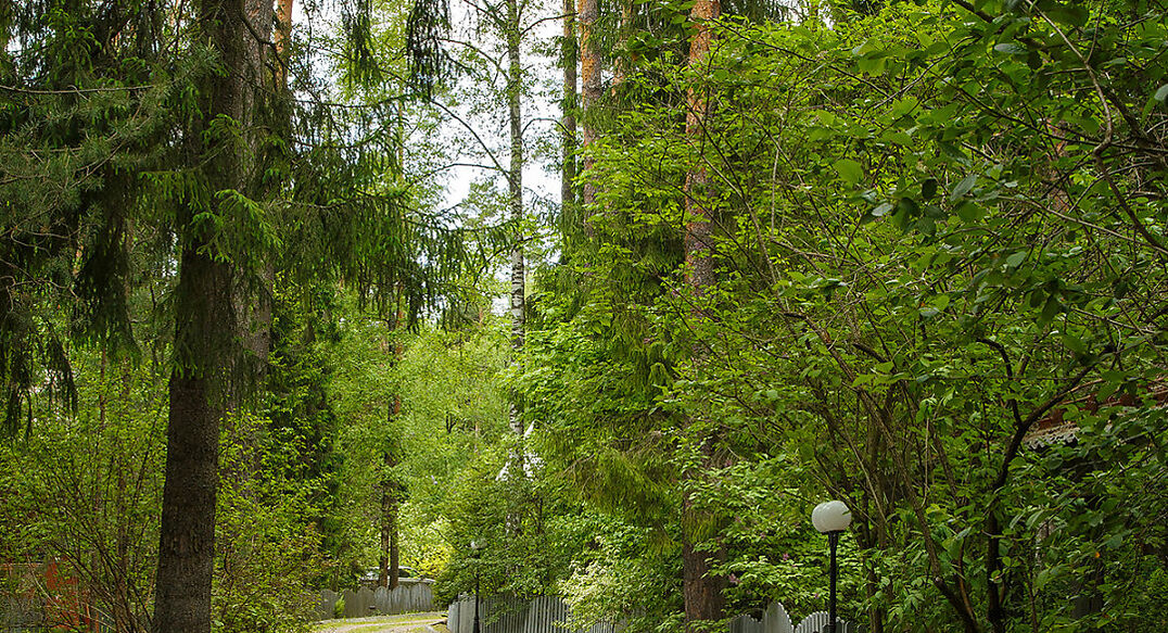 Новое время