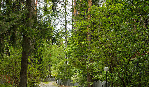 Новое время