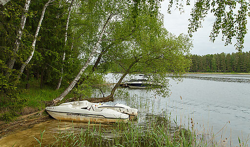 Новое время