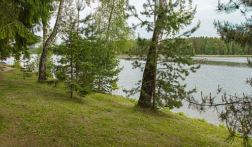 Новое время