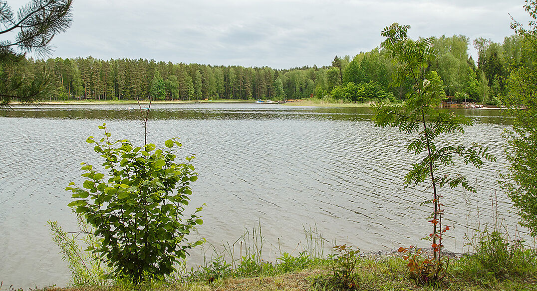 Новое время