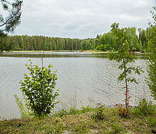 Новое время