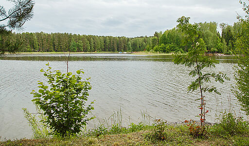 Новое время