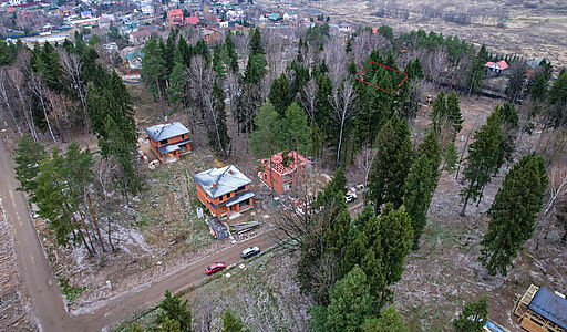 Участок с соснами в Сходне