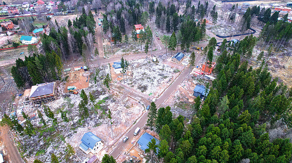 Участок с соснами в Сходне
