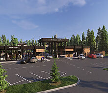 Участок с соснами в Сходне