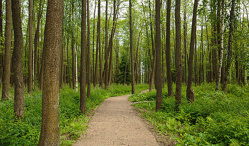 Загородный дом в КП 