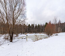 Дом в аренду в д Ховрино