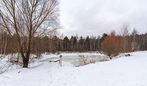 Дом в аренду в д Ховрино