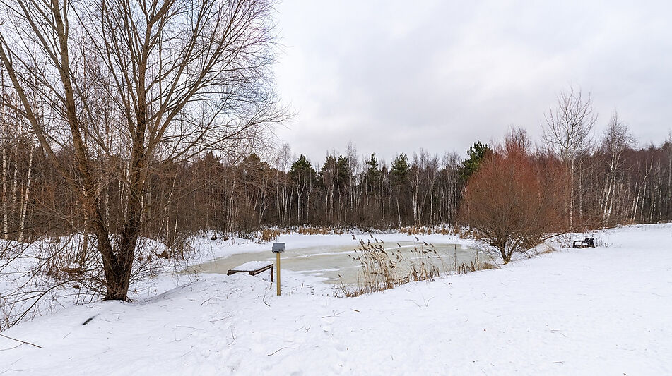 Дом в аренду в д Ховрино