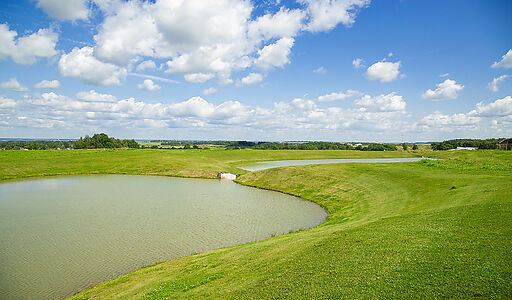 Вилла Линкс