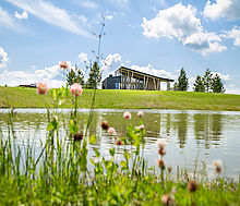 Вилла Линкс